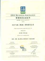 ISO9001：2008管理體系認證證書(shū)【四川飛球（集團）有限責任公司】1